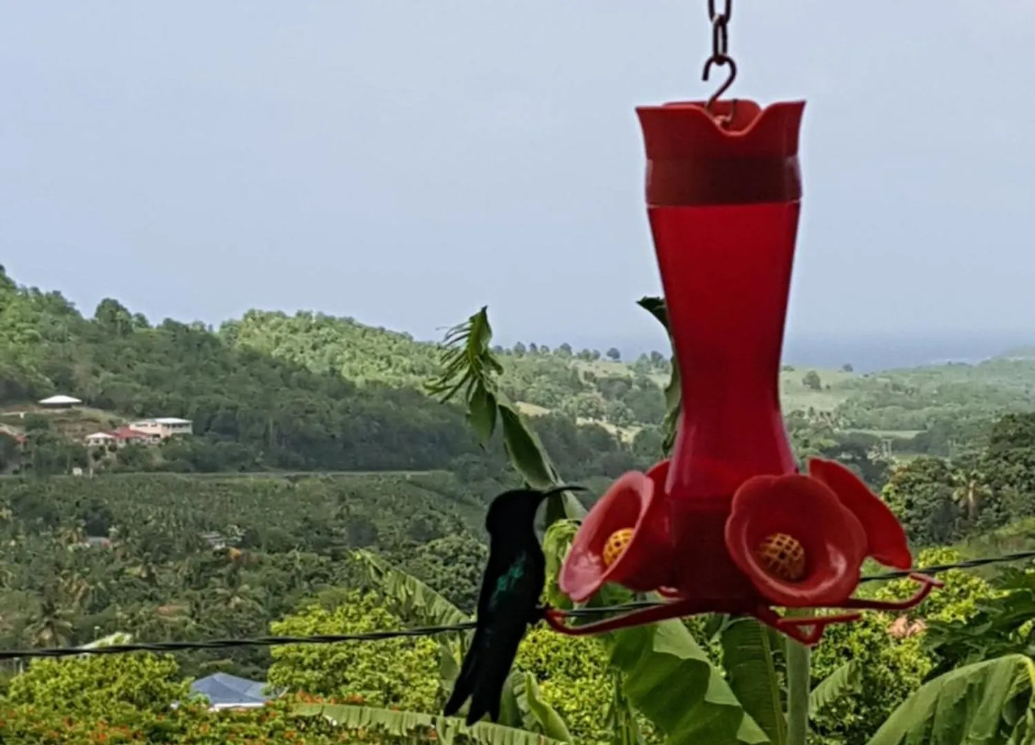 Daire Residence Kay Mamy Zet Le François
